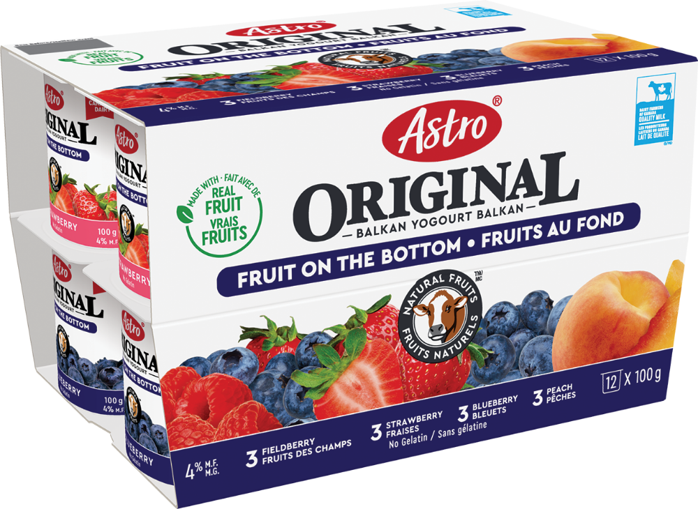 Astro Yogourt multipack